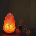 Large Himalayan Salt Lamp - World Gifts