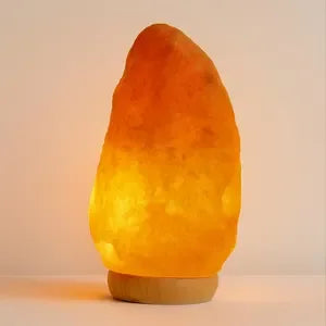Large Himalayan Salt Lamp - World Gifts